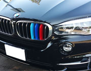 BMW grille insert trim
