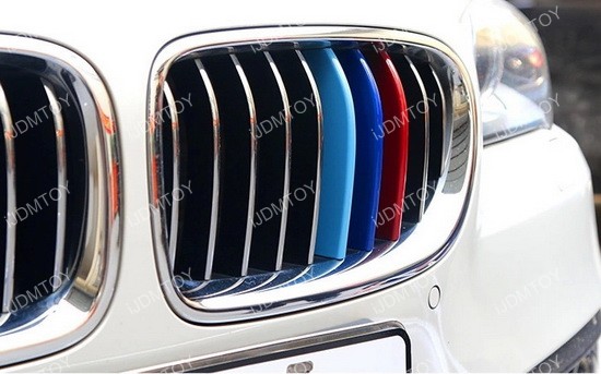 Bmw grille insert #6