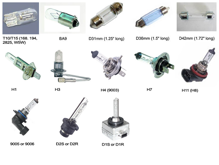 Light Bulb Base Chart